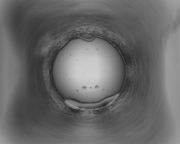 X0000115421489200911101621
