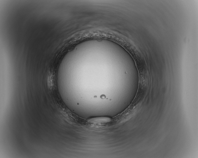 X0000115421490200911101621
