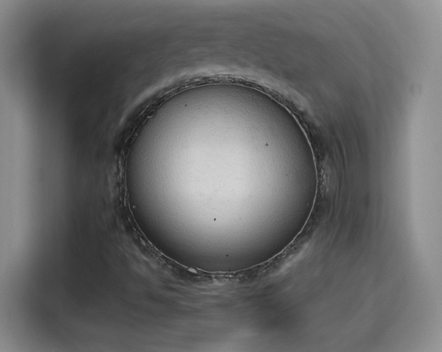 X0000115421494200911101621