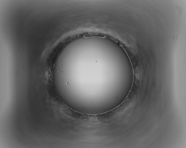 X0000115421495200911101621
