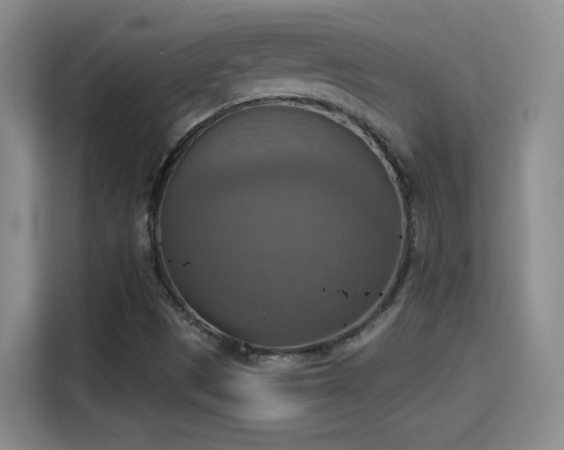 X0000115421497200911101621