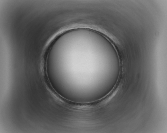 X0000115421502200911101621