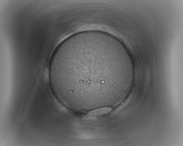 X0000115421505200911101621