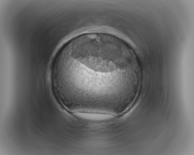 X0000115421506200911101621