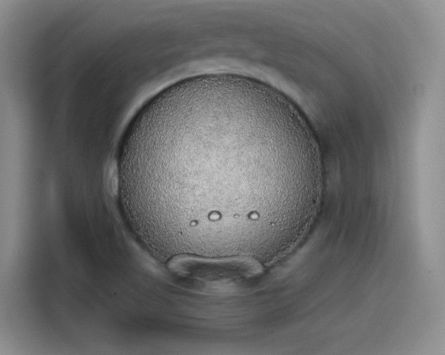 X0000115421509200911101621