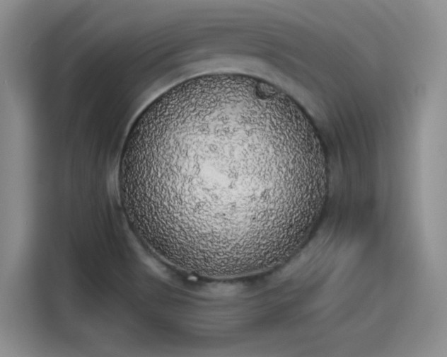 X0000115421513200911101621