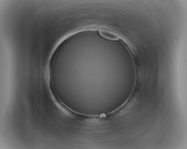 X0000115421515200911101621