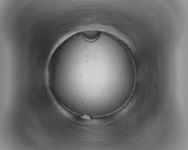 X0000115421517200911101621