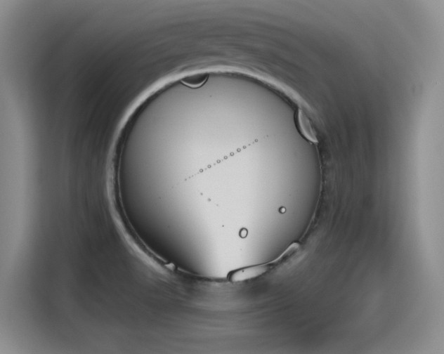 X0000115421518200911101621
