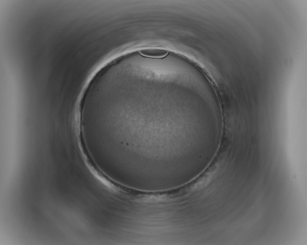 X0000115421519200911101621