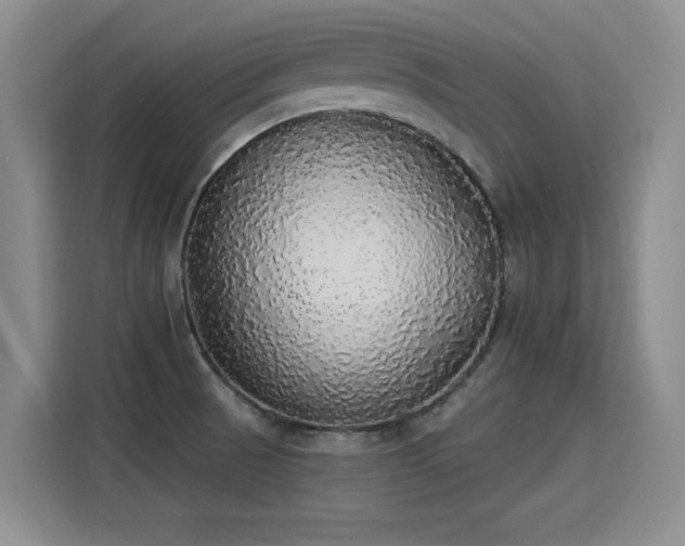 X0000115421521200911101621