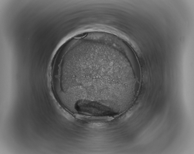 X0000115421522200911101621