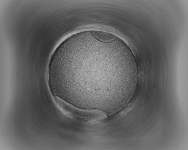 X0000115421523200911101621