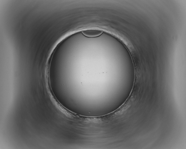 X0000115421526200911101621