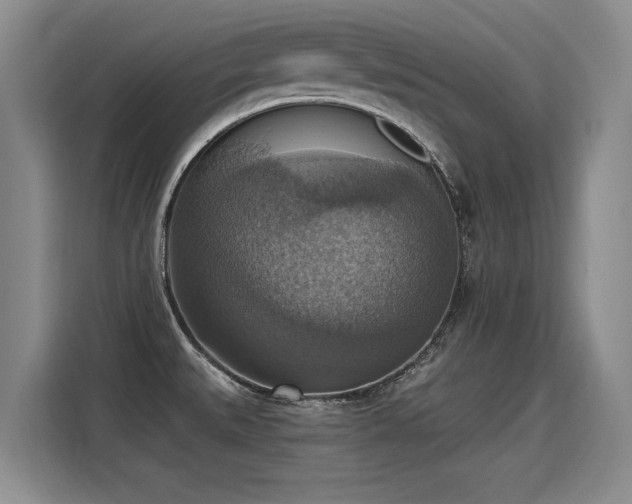 X0000115421527200911101621