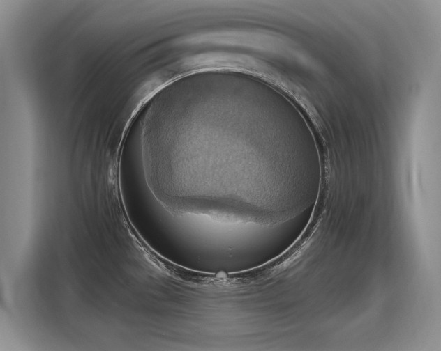 X0000115421529200911101621