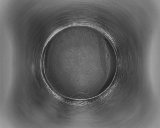 X0000115421533200911101621
