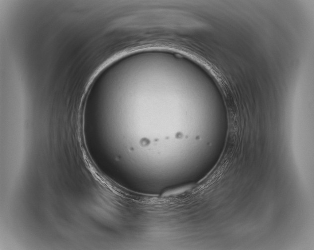 X0000115421534200911101621