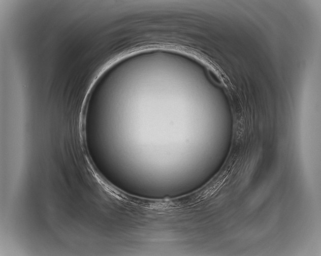X0000115421535200911101621