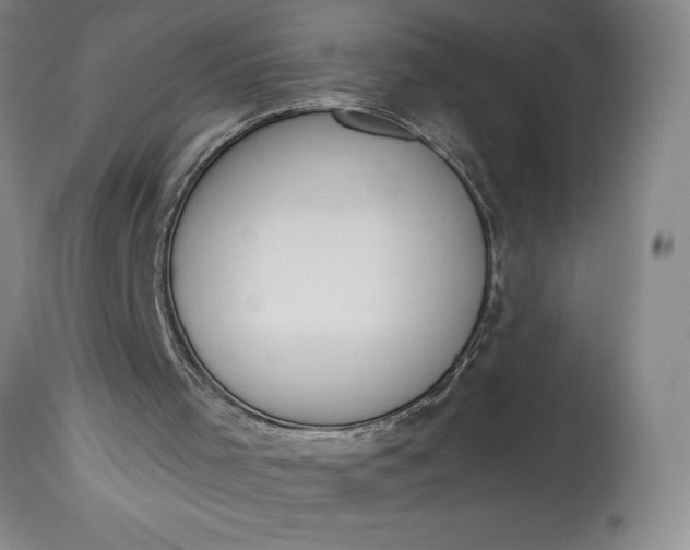 X0000115420001200911171434