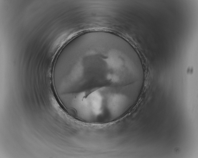 X0000115420002200911171434