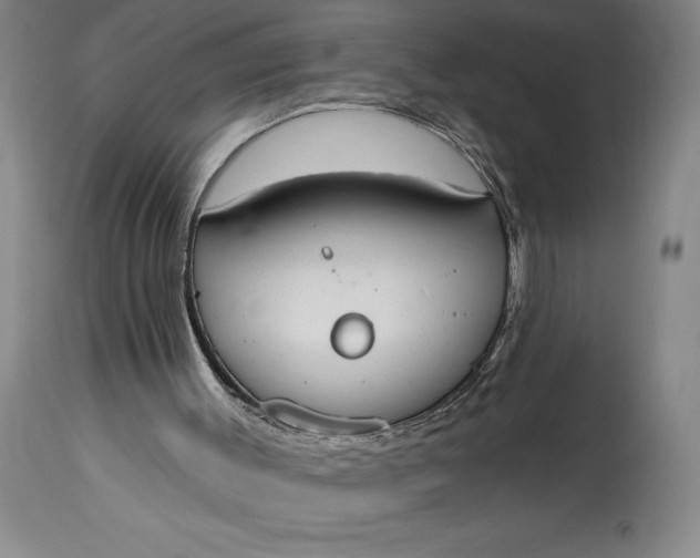 X0000115420003200911171434