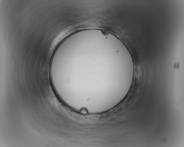 X0000115420004200911171434