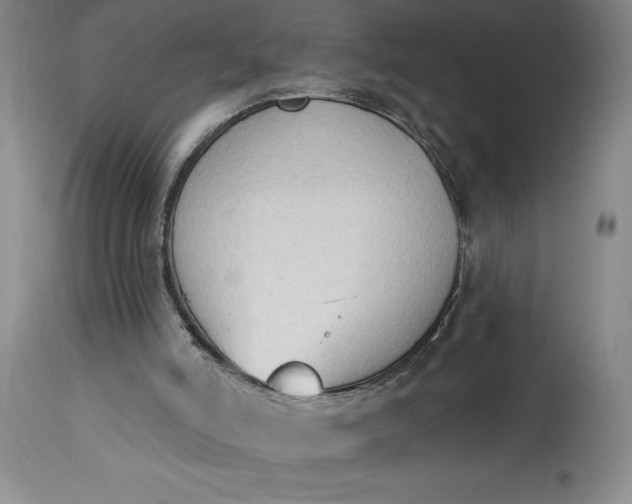 X0000115420006200911171434