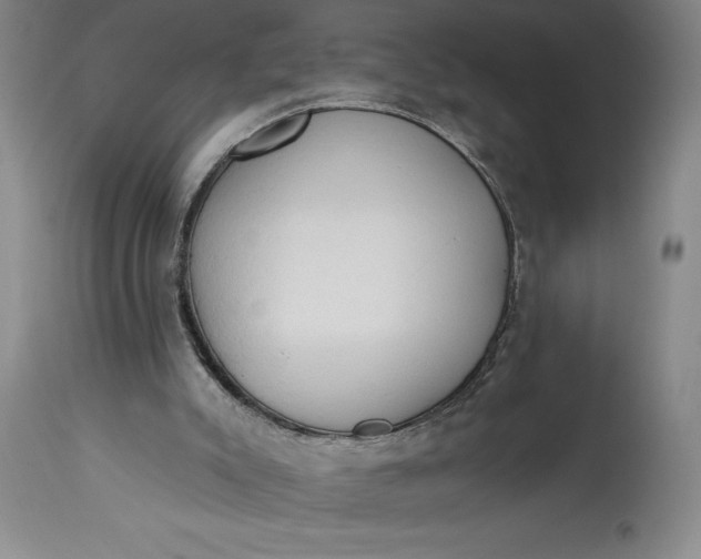 X0000115420007200911171434