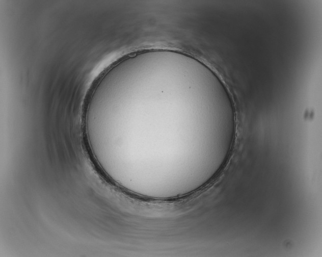 X0000115420008200911171434