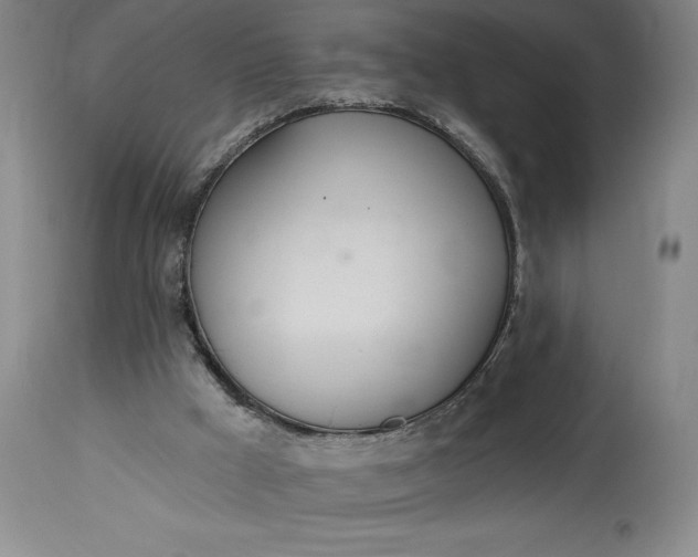 X0000115420009200911171434