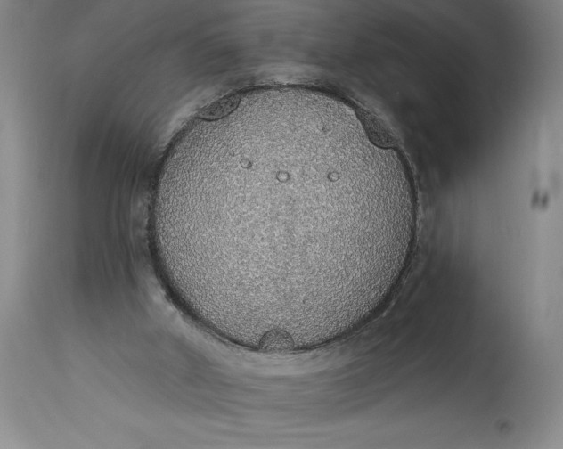 X0000115420010200911171434