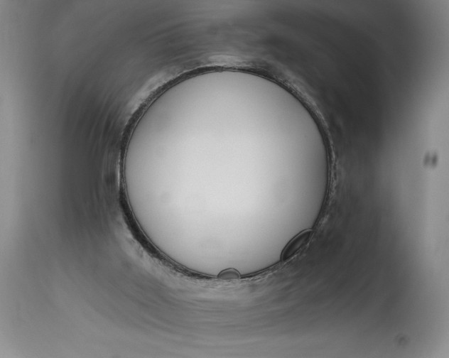 X0000115420011200911171434