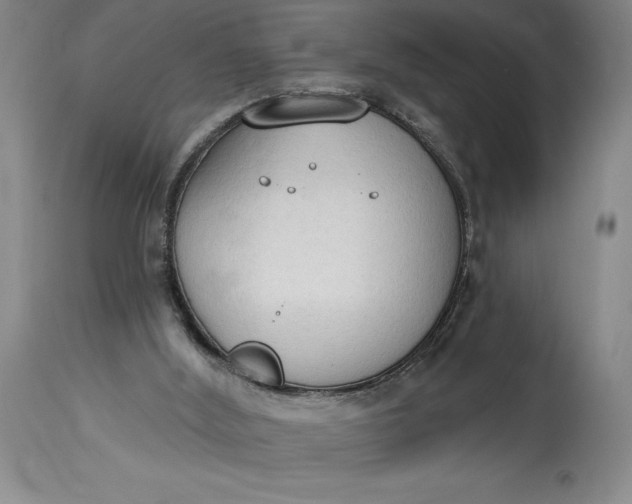 X0000115420012200911171434