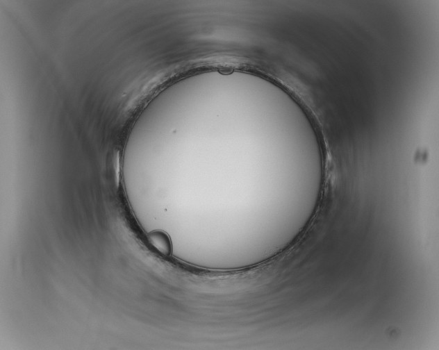 X0000115420013200911171434