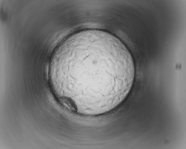 X0000115420014200911171434