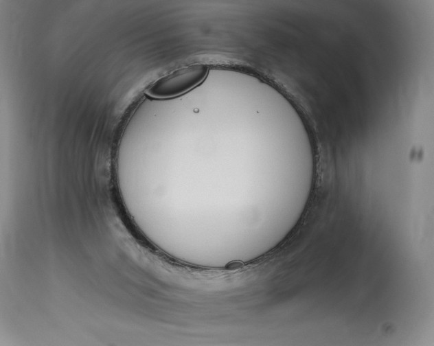 X0000115420015200911171434