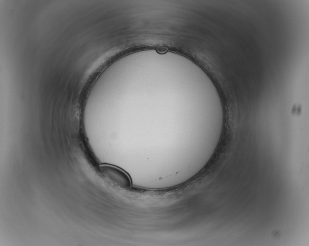 X0000115420016200911171434