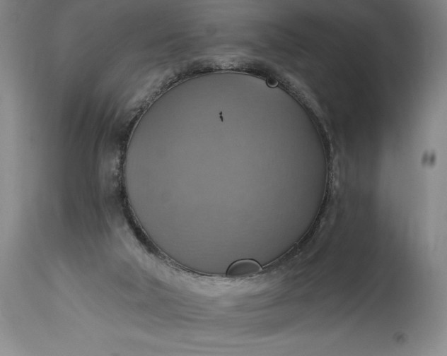 X0000115420018200911171434