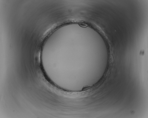 X0000115420019200911171434