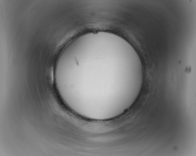 X0000115420020200911171434