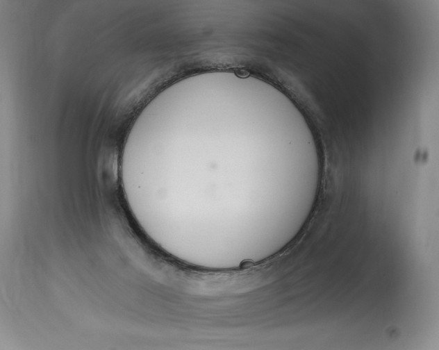 X0000115420021200911171434