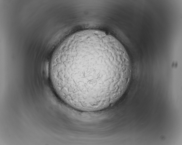 X0000115420022200911171434