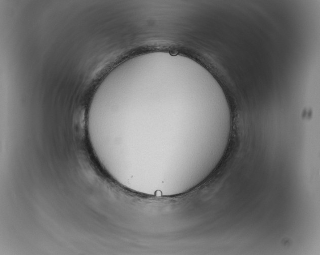 X0000115420024200911171434