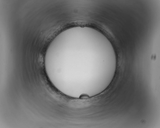 X0000115420025200911171434