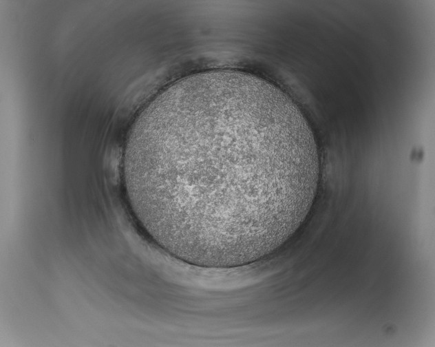 X0000115420026200911171434