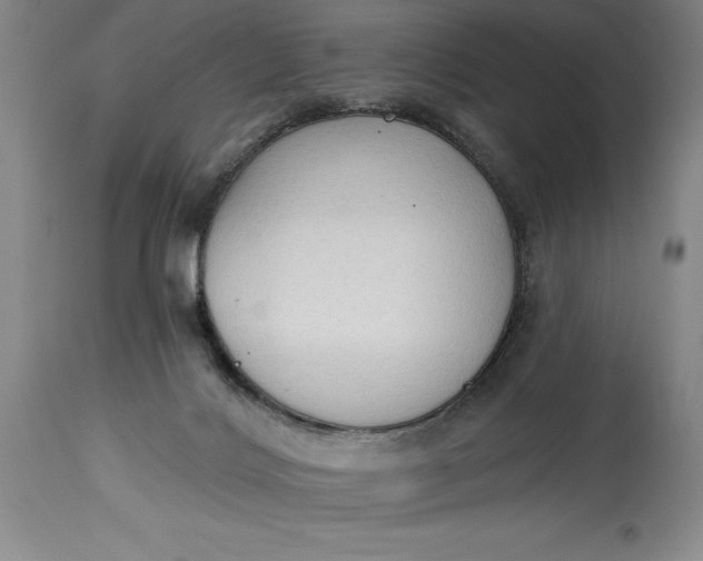 X0000115420028200911171434