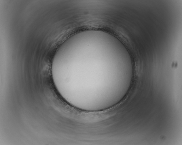 X0000115420029200911171434