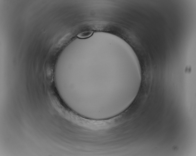 X0000115420031200911171433