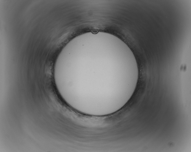 X0000115420032200911171433